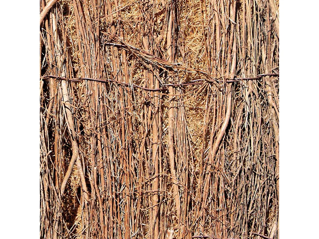 Brezo con coco nortene 1,5X3 M