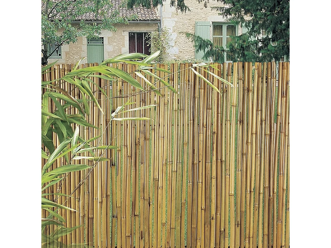 CAÑIZO ENTERO BARNIZADO BAMBOOFLEX 2X3 M