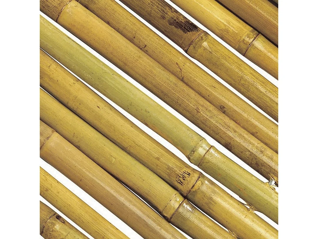 CAÑIZO ENTERO BARNIZADO BAMBOOFLEX 2X3 M
