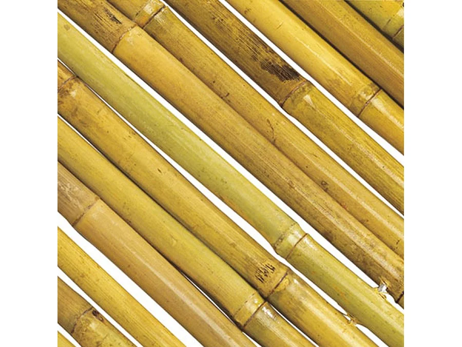Cañizo entero barnizado bambooflex 2X3 M