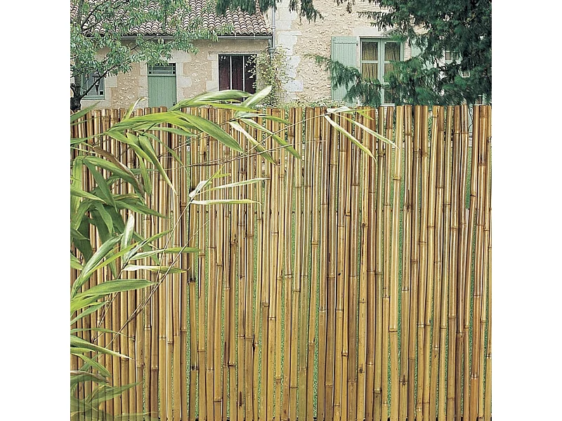 CAÑIZO ENTERO BARNIZADO BAMBOOFLEX 2X3 M