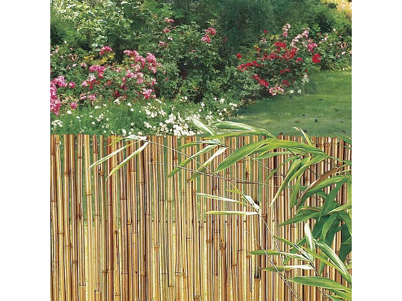 Cañizo entero barnizado bambooflex 2X3 M