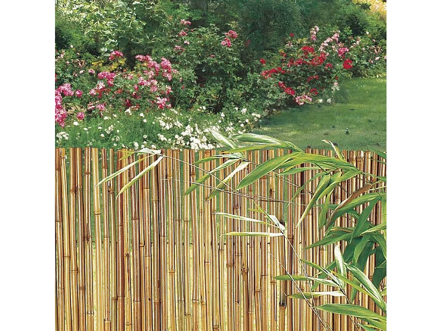 Cañizo entero barnizado bambooflex 1X3 M
