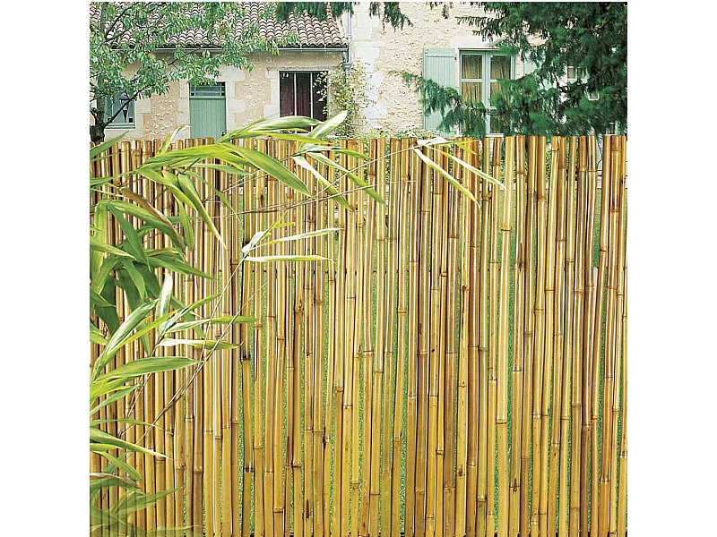 CAÑIZO ENTERO BARNIZADO BAMBOOFLEX 1X3 M