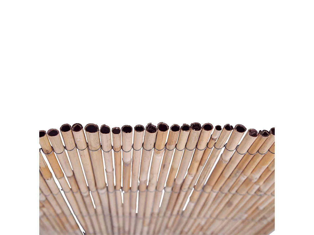 Cañizo entero varilla media reedcane plus nortene 1X5 M