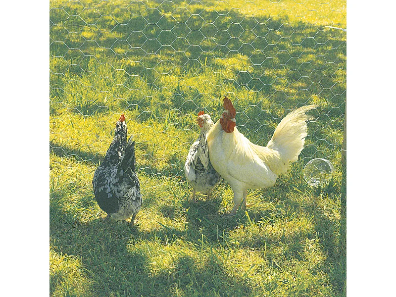 MALLA METALICA TRIPLE TORSION GALVANEX 19 NORTENE 1X25 M