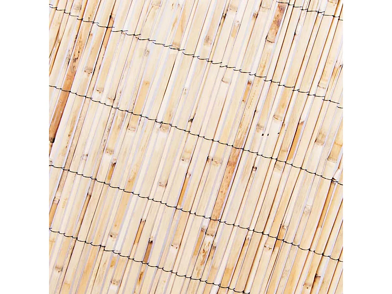 CAÑIZO MEDIA CAÑA NATURAL MIDCANE NORTENE 2X5 M