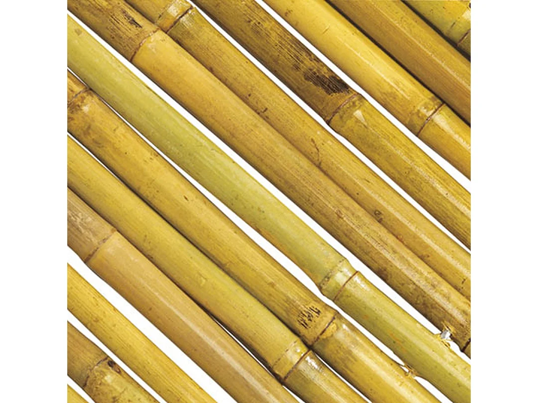 CAÑIZO ENTERO BARNIZADO BAMBOOFLEX 1,5X3 M