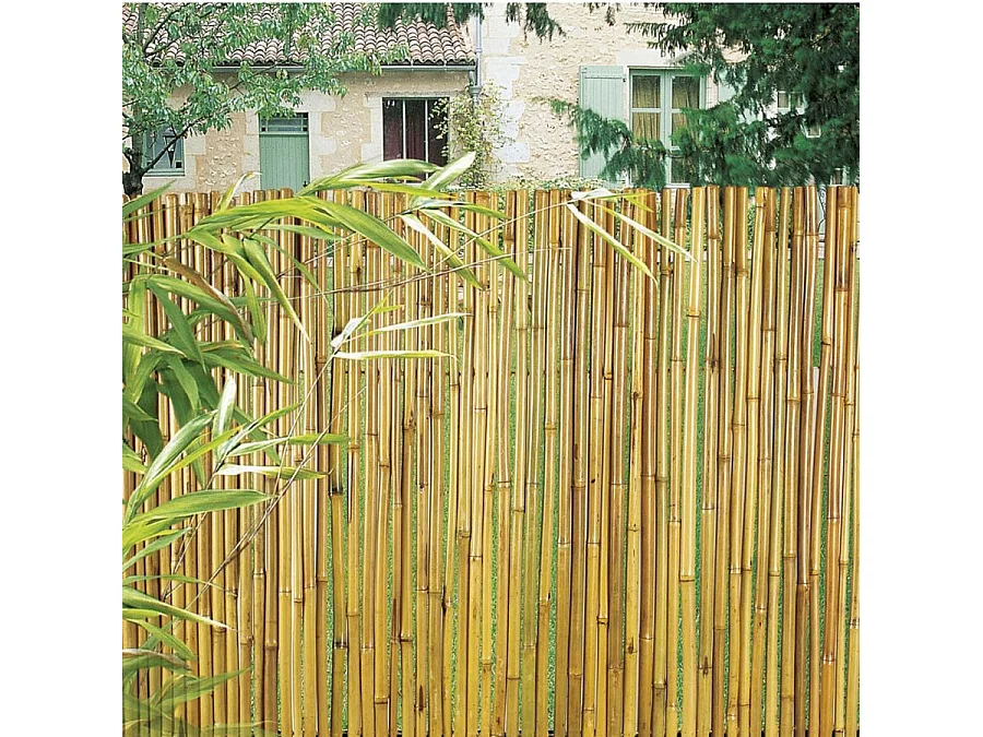 Cañizo entero barnizado bambooflex 1,5X3 M