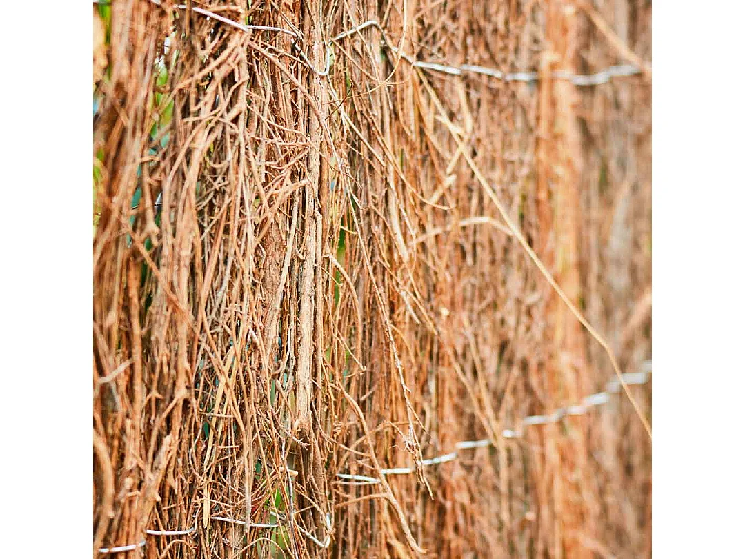 Brezo natural ecológico standard 700-900 gr 2X5 M