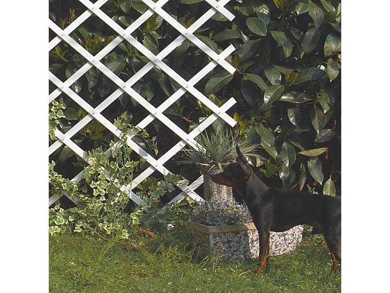 CELOSIA EXTENSIBLE PVC TRELLIFLEX BLANCO NORTENE 1X3 M