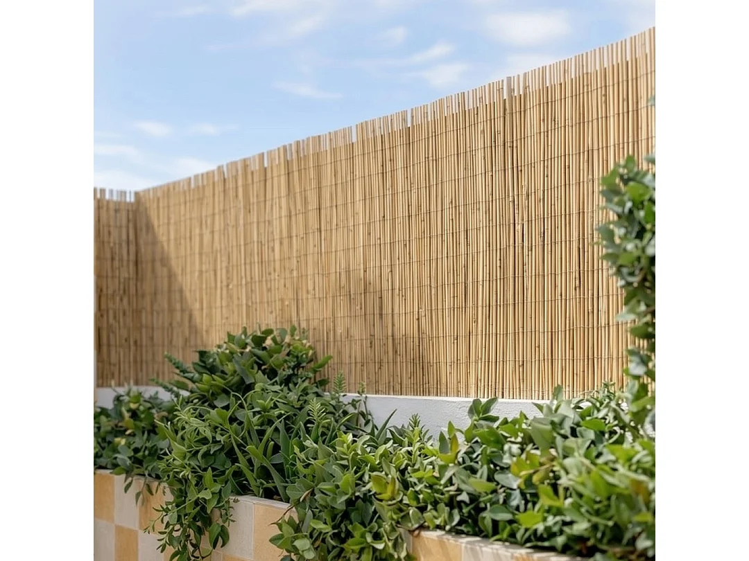 Cañizo entero varilla media reedcane plus nortene 2X5 M