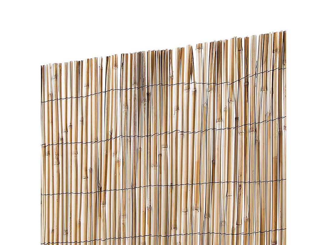 Cañizo entero varilla media reedcane plus nortene 2X5 M