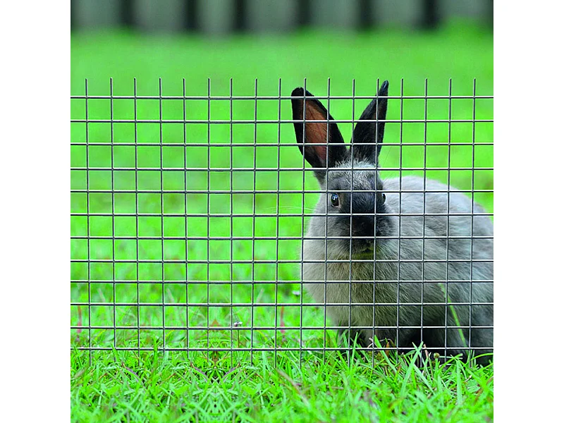 Malla metalica electrosoldada fensanet cuad 12mm nortene 12MM 0.5X5 M