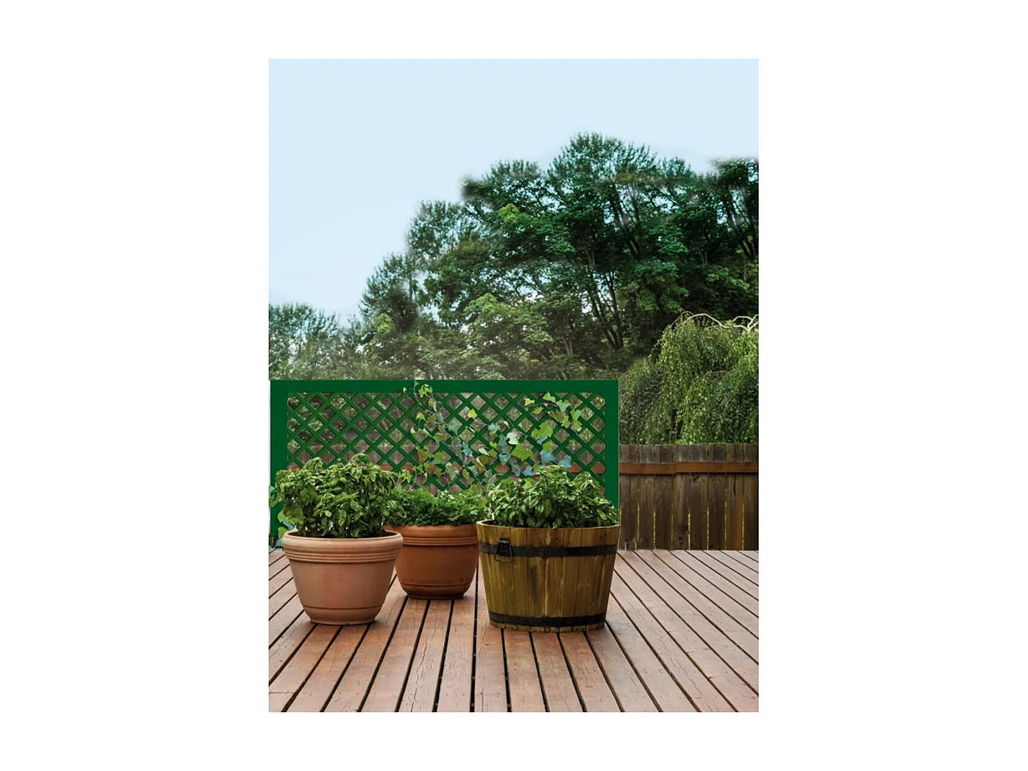 Celosía pp classic 64 mm 1x2 m verde nortene 1X2 M