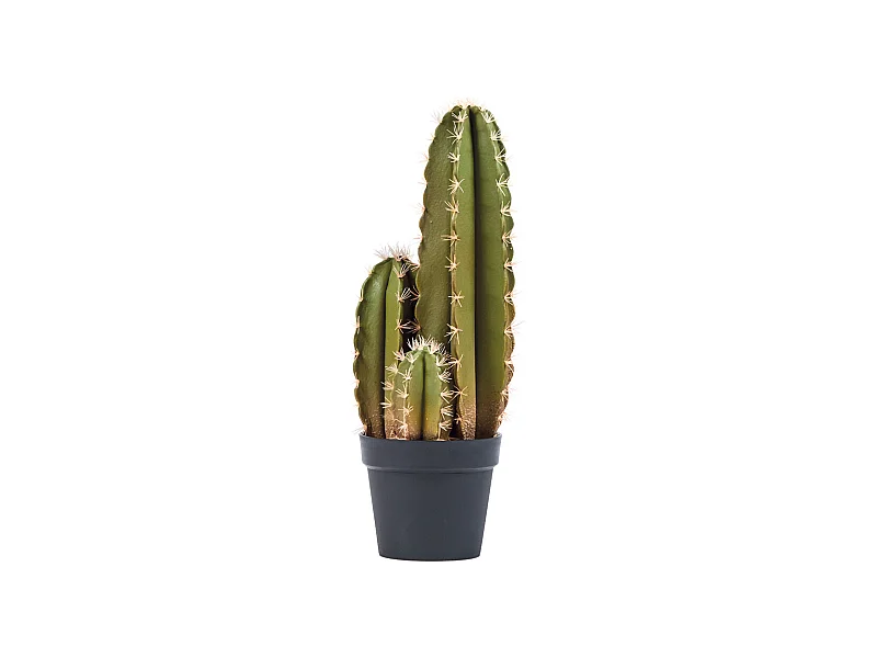 CACTUS ARTIFICIAL ORGANO 64 CM NORTENE
