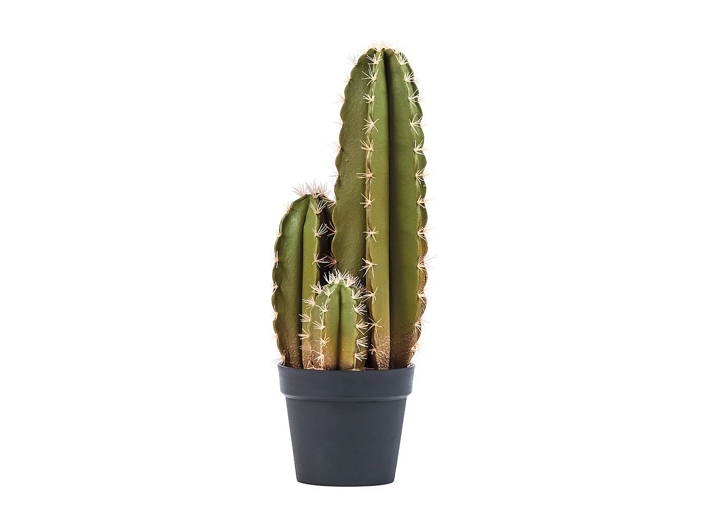Cactus artificial organo 64 cm nortene 64 CM