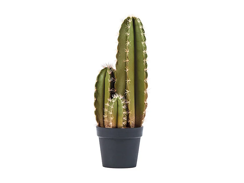 Cactus artificial organo 64 cm nortene 64 CM