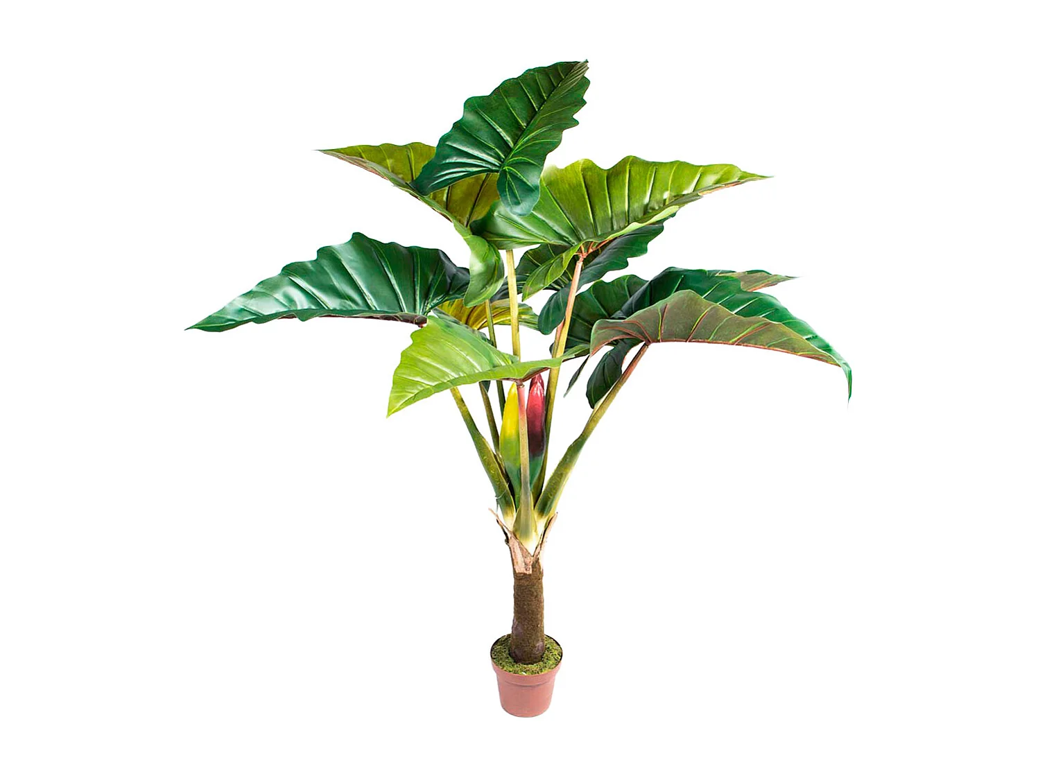 PLANTA ARTIFICIAL ARCOIRIS 170 CM NORTENE