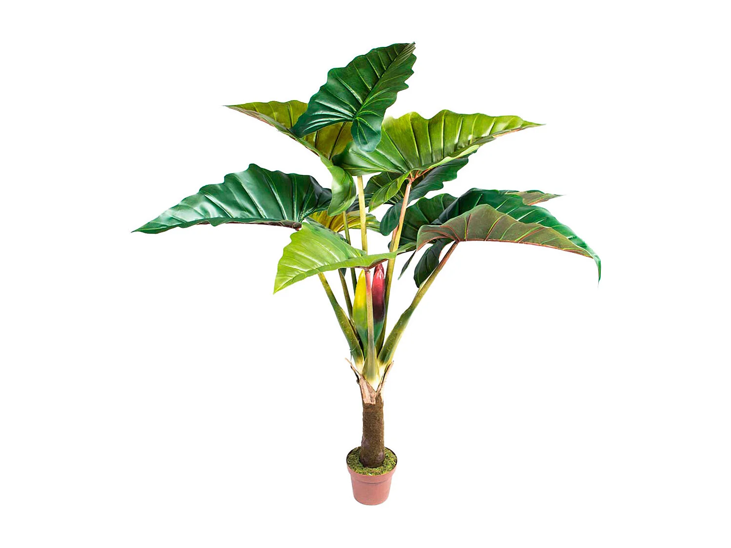 Planta artificial arcoiris 170 cm nortene 1X2 M