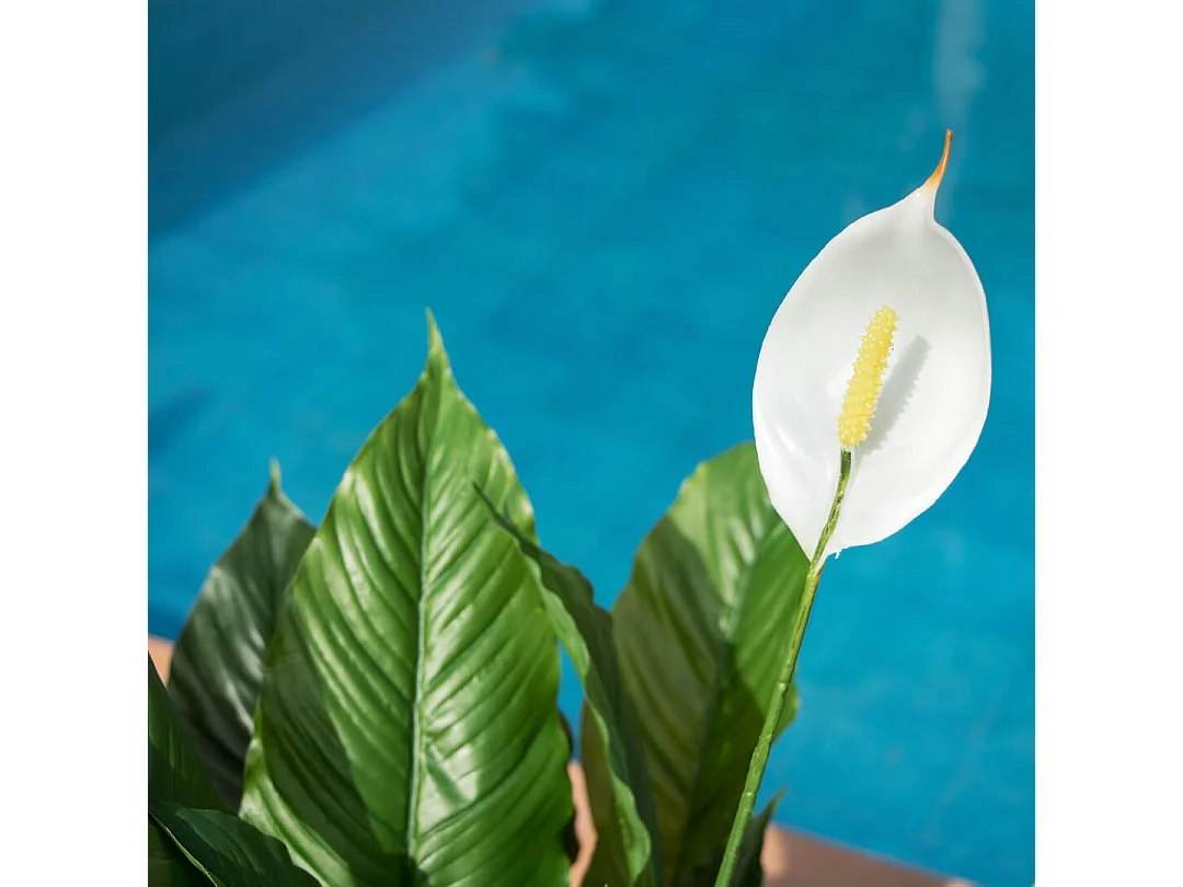 PLANTA ARTIFICIAL VELA DEL VIENTO 105 CM NORTENE