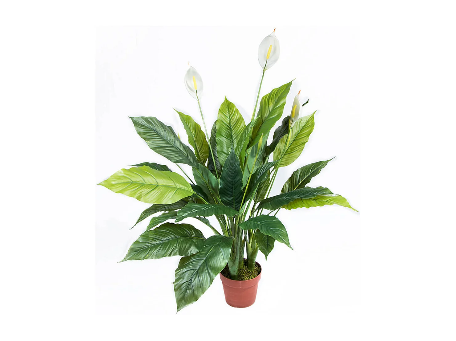 PLANTA ARTIFICIAL VELA DEL VIENTO 105 CM NORTENE