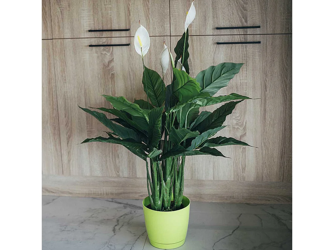 Planta artificial vela del viento 105 cm nortene 105CM