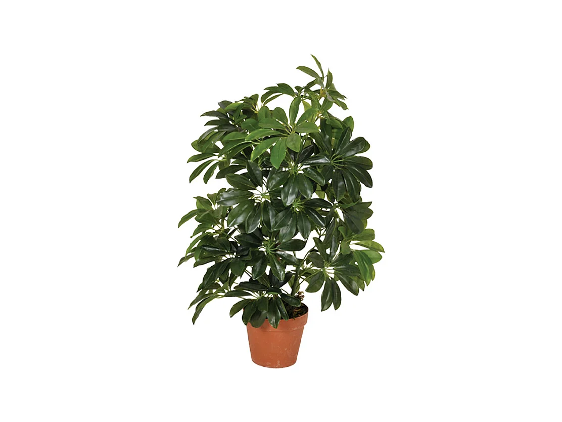 PLANTA ARTIFICIAL CHEFLERA 65 CM
