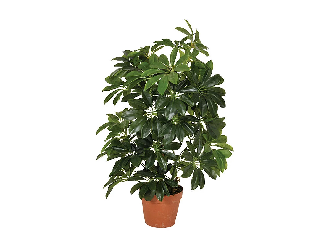 PLANTA ARTIFICIAL CHEFLERA 65 CM