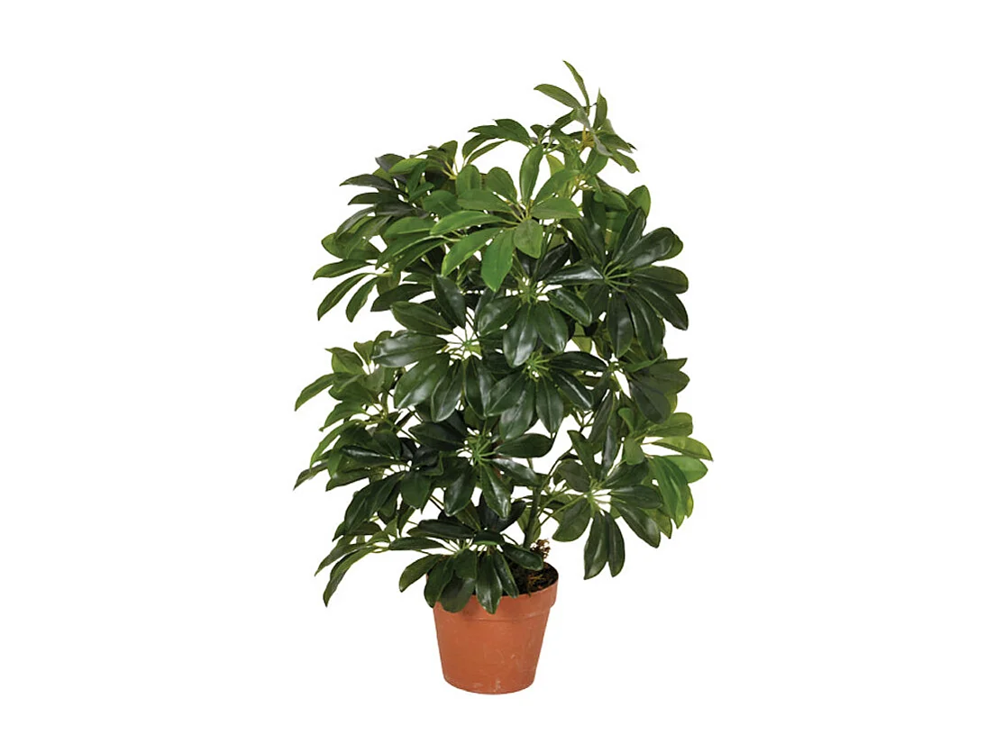 Planta artificial cheflera 65 cm 65CM