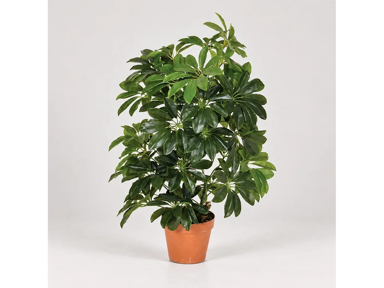 Planta artificial cheflera 65 cm nortene
