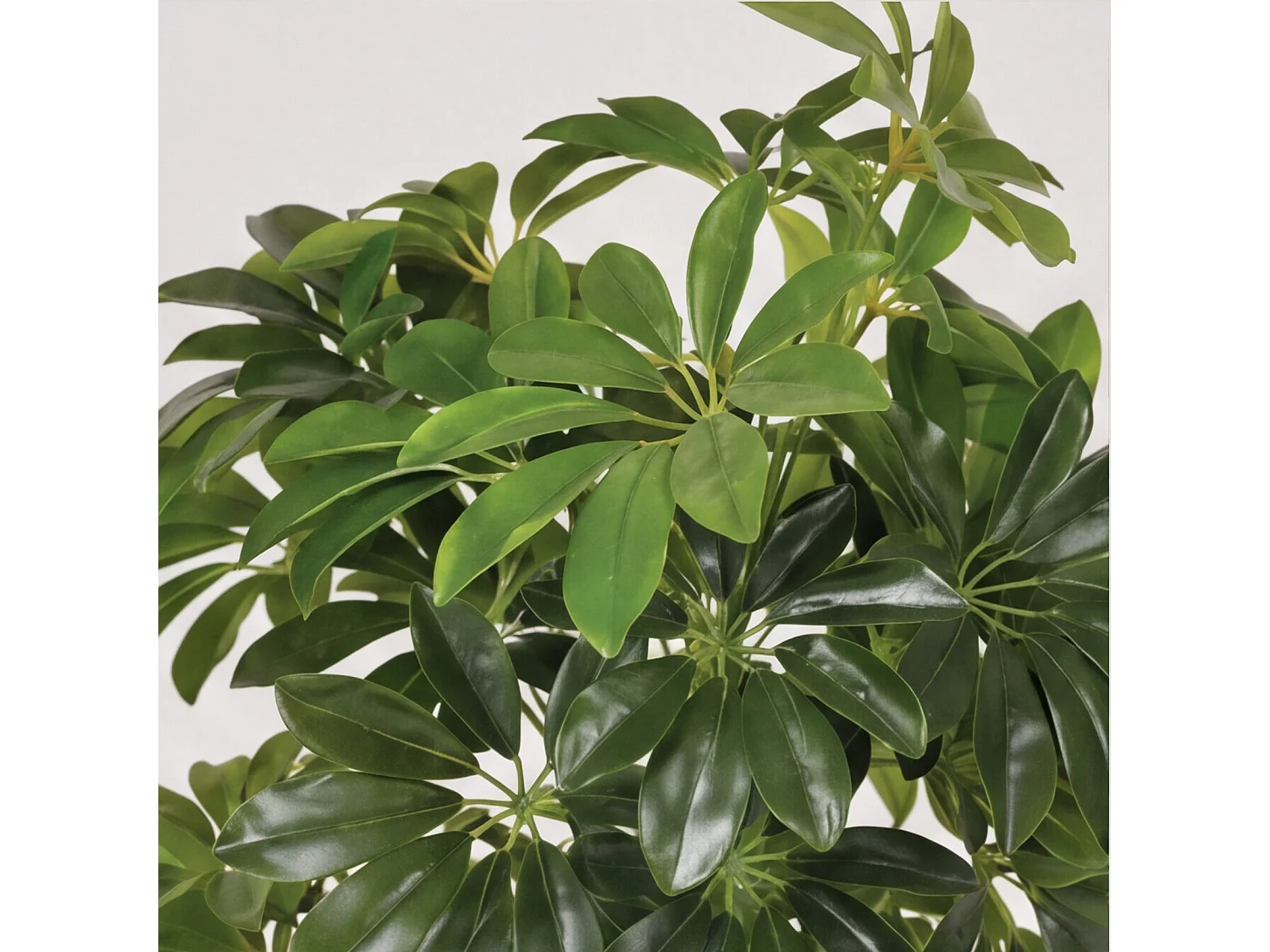 Planta artificial cheflera 65 cm nortene