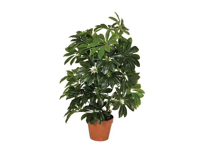 PLANTA ARTIFICIAL CHEFLERA 65 CM