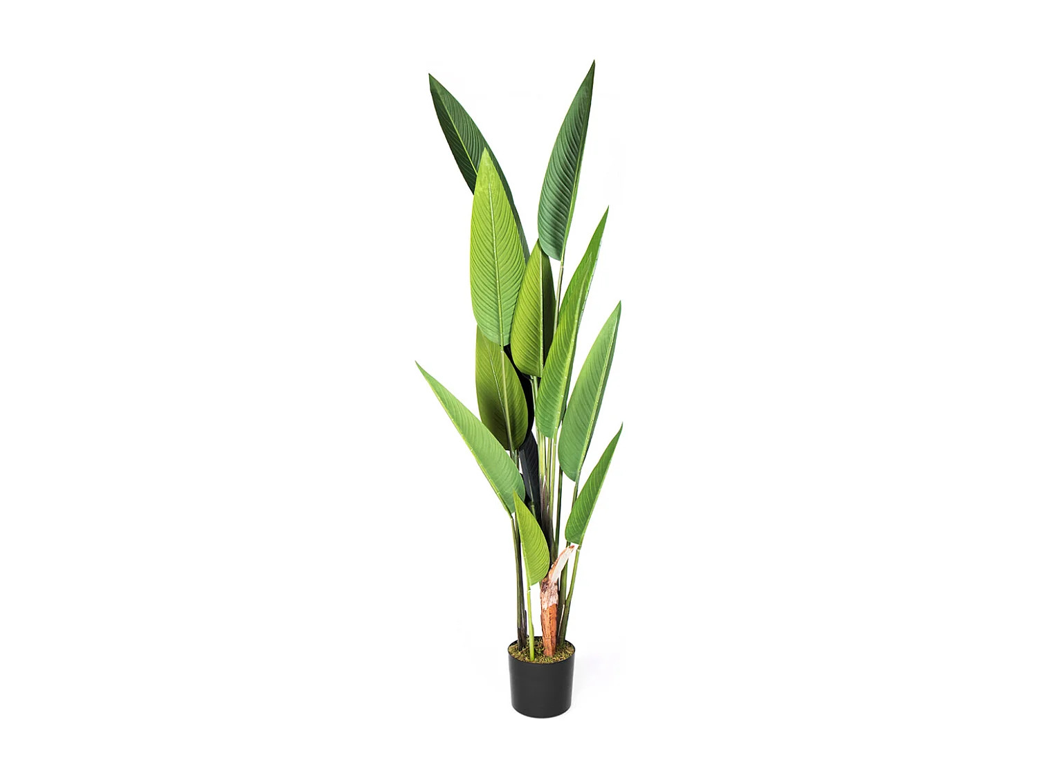 PLANTA ARTIFICIAL AVE DEL PARAISO 188 CM NORTENE
