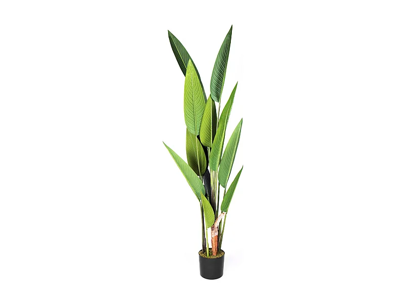 Planta artificial ave del paraiso 188 cm nortene 188 CM