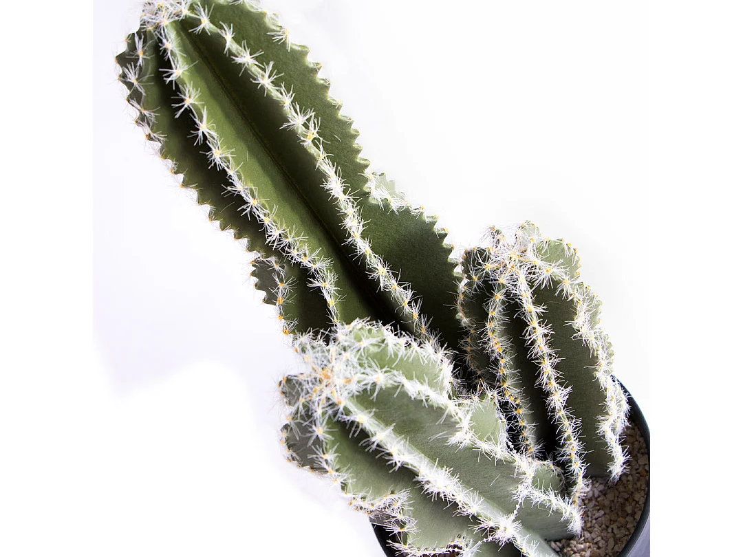 Cactus castillo de hadas 62 cm nortene 62 CM