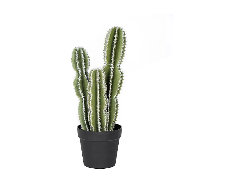 Cactus castillo de hadas 62 cm nortene 62 CM