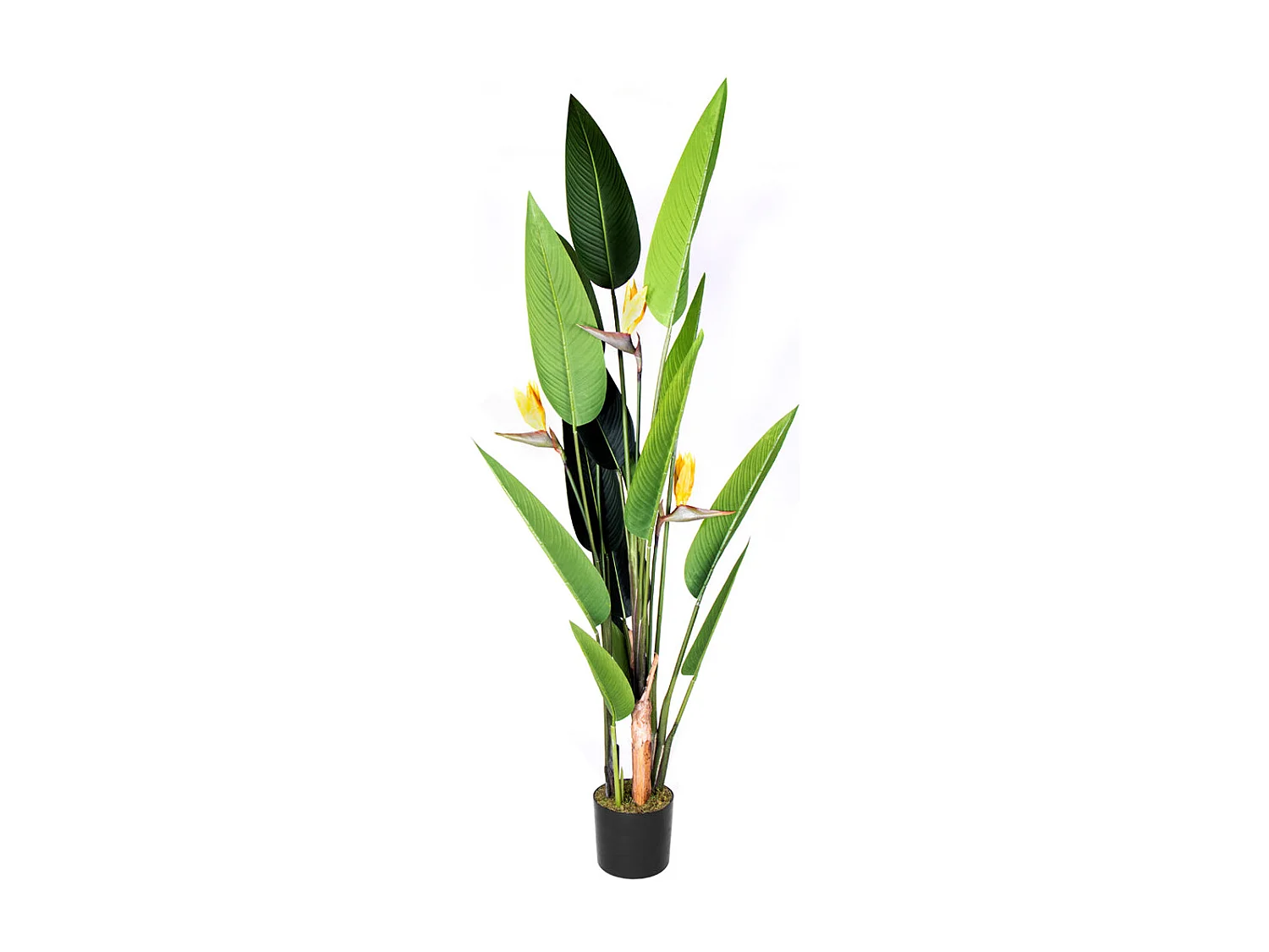 Planta artificial ave del paraiso flor 185 cm nortene 185 CM