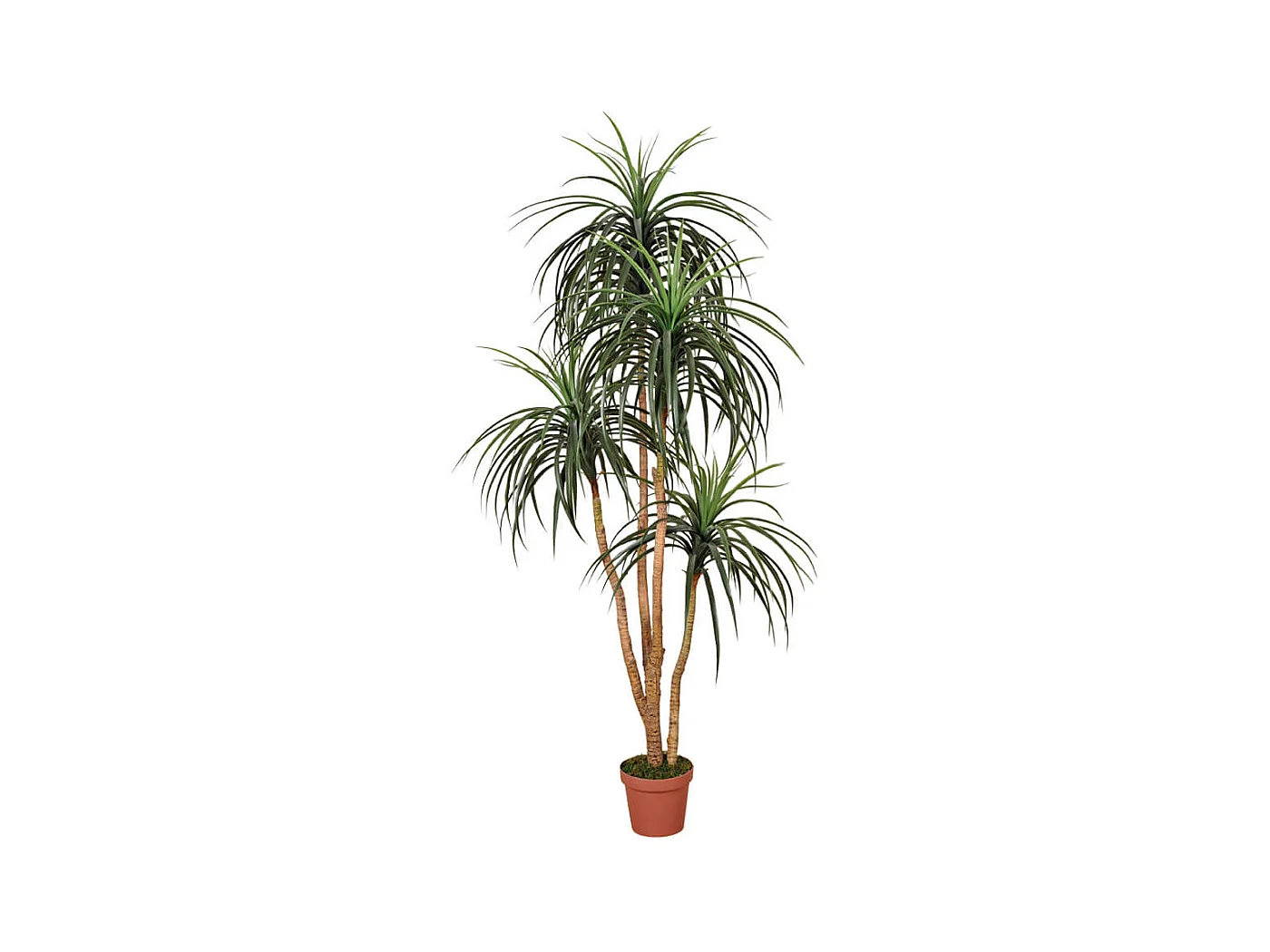 PLANTA ARTIFICIAL NOLINA 185 CM
