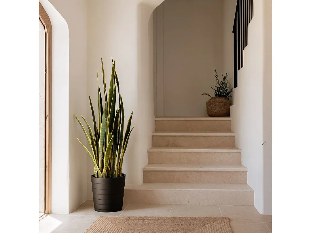 PLANTA ARTIFICIAL LENGUA DE TIGRE 105 CM BICOLOR