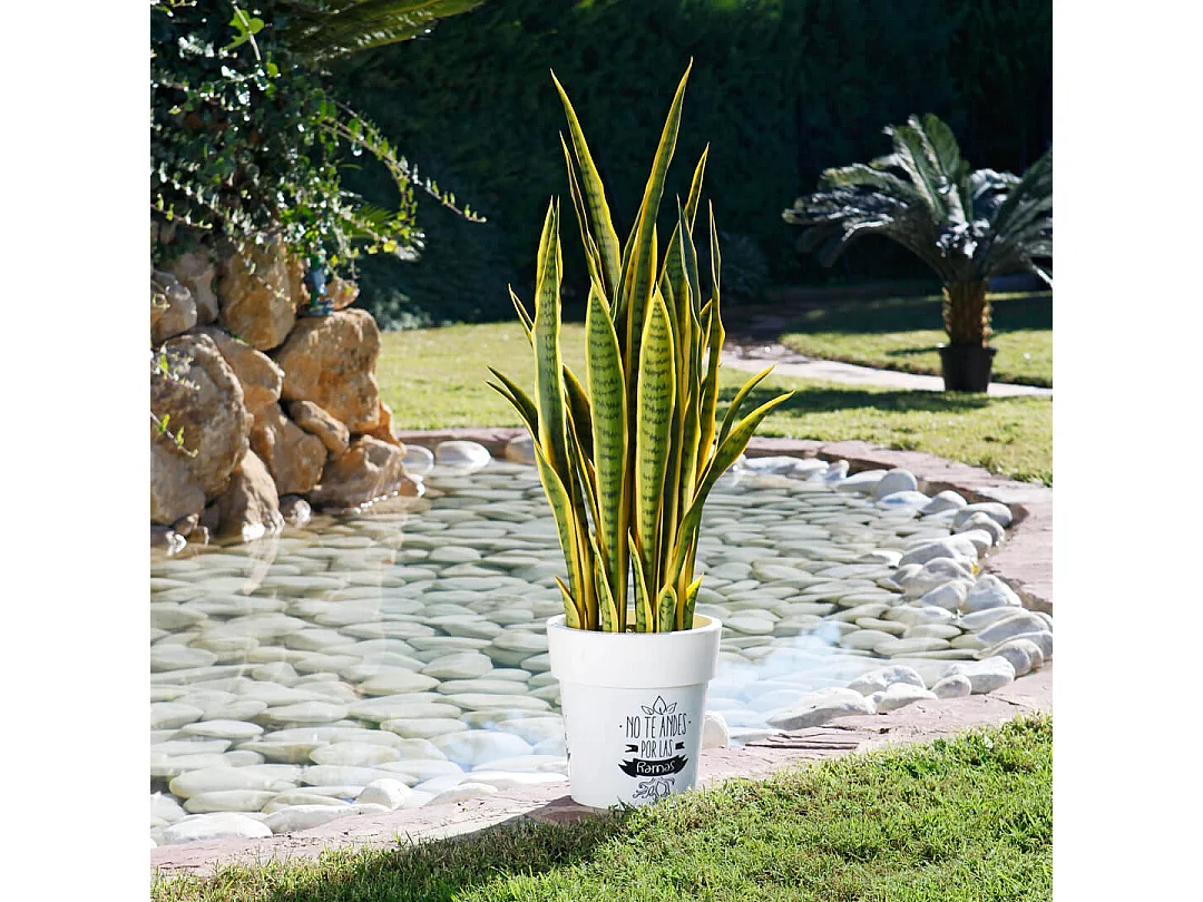 PLANTA ARTIFICIAL LENGUA DE TIGRE 105 CM BICOLOR