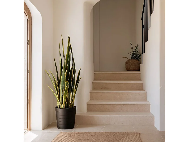 Planta artificial lengua de tigre 105 cm bicolor 105CM