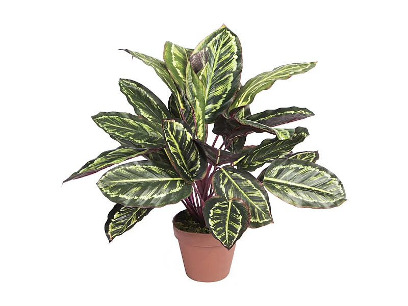 PLANTA ARTIFICIAL CALATEA CEBRA 49 CM