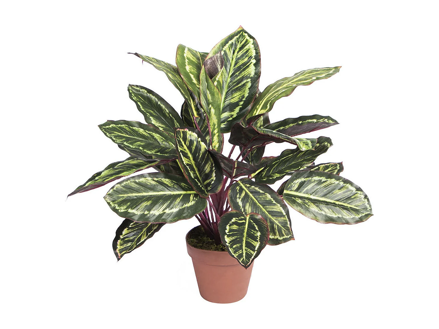 PLANTA ARTIFICIAL CALATEA CEBRA 49 CM