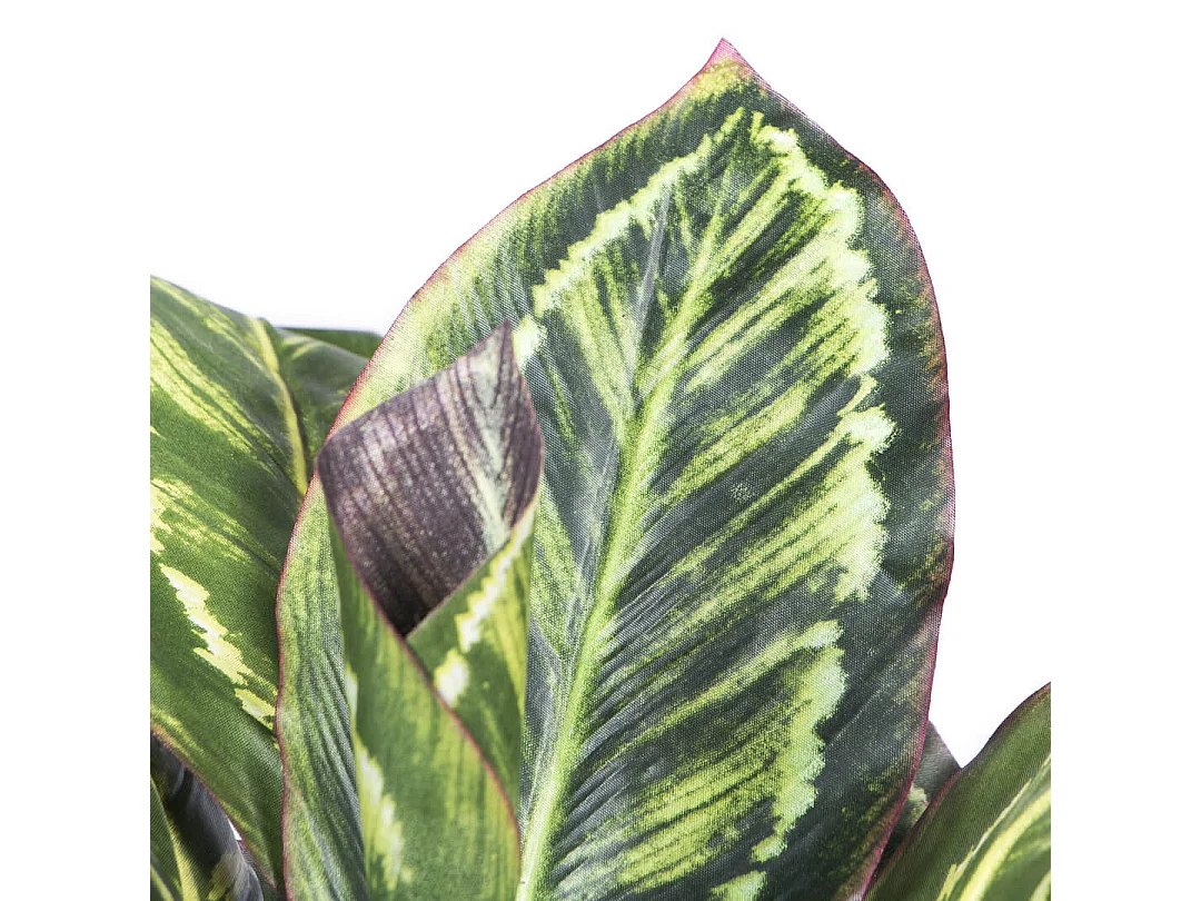 PLANTA ARTIFICIAL CALATEA CEBRA 49 CM