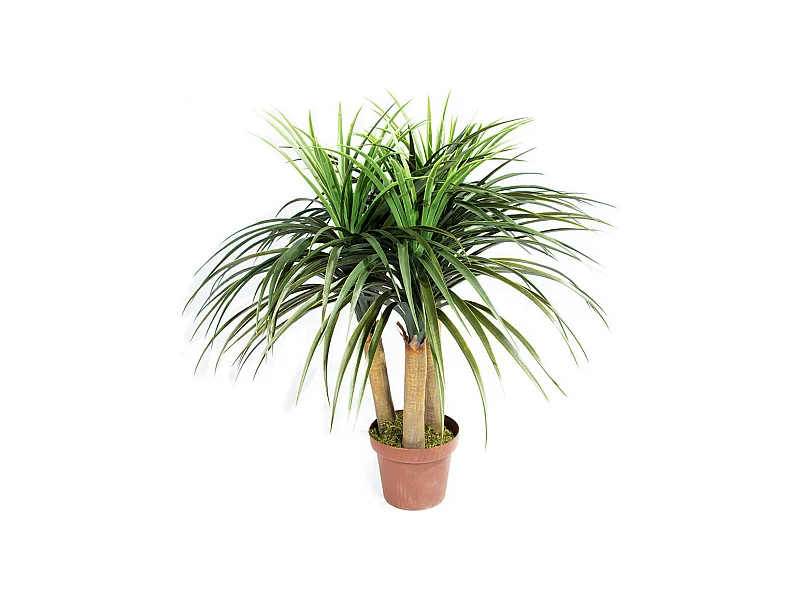 PLANTA ARTIFICIAL NOLINA MINI 75 CM