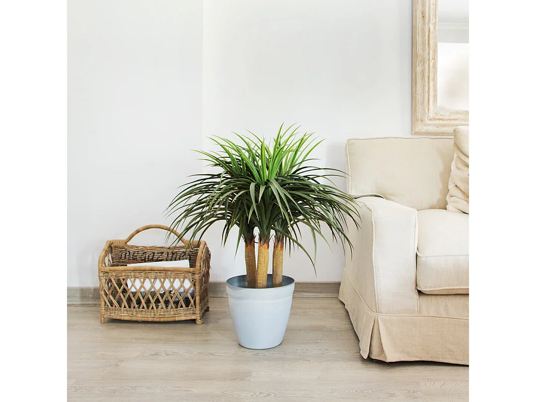 PLANTA ARTIFICIAL NOLINA MINI 75 CM