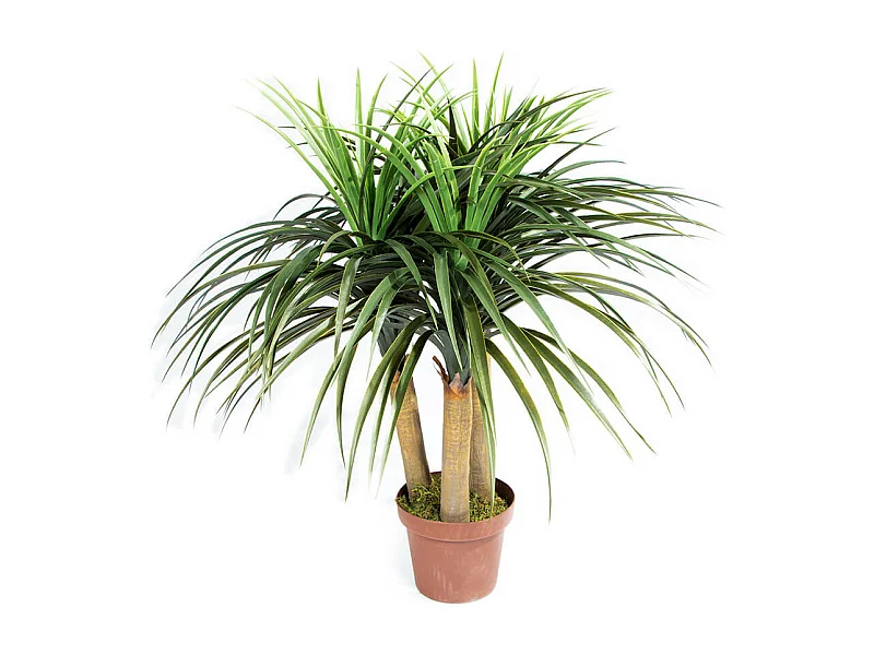 PLANTA ARTIFICIAL NOLINA MINI 75 CM