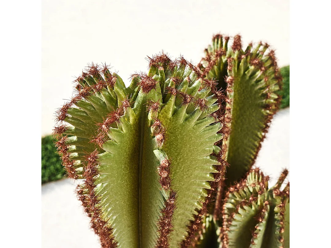 CACTUS ARTIFICIAL EUPHORBIA SUZANNAE 90 CM NORTENE