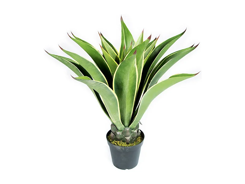 Planta artificial agave mini 98 cm nortene 1X3 M